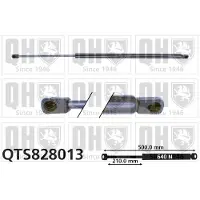 Quinton Hazell QTS828013 Gasveer achterklep