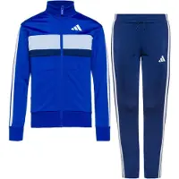 Adidas Trainingspak 'Seasonal Essentials Tiberio' navy / royal blue/koningsblauw / lichtblauw / wit