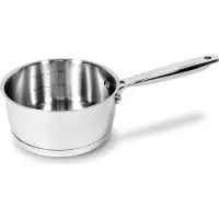 Moneta Roestvrijstalen braadpan - Geschikt voor alle vuren inclusief inductie - 1 stalen handvat - Muntlijn, Pan + steelpan, Zilver