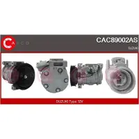 Casco CAC89002AS Aircopomp
