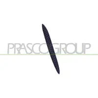 BLIC 5513-00-3521926P Ventilatiegrille, bumper