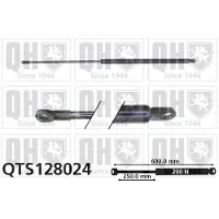 Quinton Hazell QTS128024 Gasveer achterklep