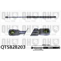 Quinton Hazell QTS828203 Gasveer achterklep