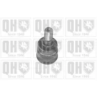 Quinton Hazell QSJ3490S Fuseekogel