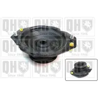 Quinton Hazell EMR5032 Veerpootlager