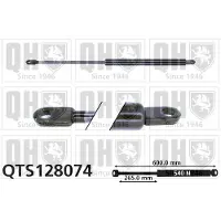 Quinton Hazell QTS128074 Gasveer achterklep
