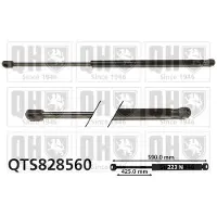 Quinton Hazell QTS828560 Gasveer achterklep
