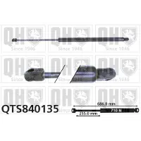 Quinton Hazell QTS840135 Gasveer achterklep