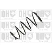Quinton Hazell QCS5310 Chassisveer