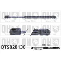 Quinton Hazell QTS828130 Gasveer achterklep