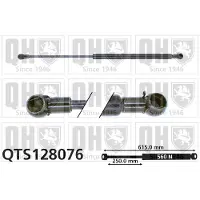 Quinton Hazell QTS128076 Gasveer achterklep