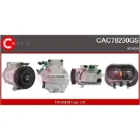 Casco CAC78230GS Aircopomp