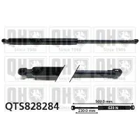 Quinton Hazell QTS828284 Gasveer achterklep