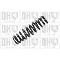 Quinton Hazell QCS5040 Chassisveer