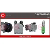 Casco CAC38029AS Aircopomp