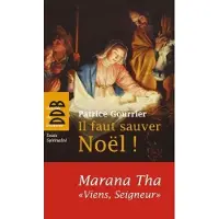 Desclée De Brouwer Il faut sauver noel