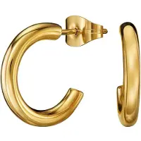 Traveller Oorringen - Oorbellen Dames - Goudkleurig - Ring - Edelstaal - Ø 15 mm - Oorstekers - 166335