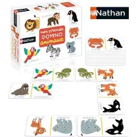 Dujardin 31153 bordspel domino Kaartspel Matching