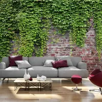 Karo-art Fotobehang -Muur met klimop