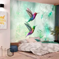 Karo-art Fotobehang - Kleurrijke Kolibries op Groene achtergrond