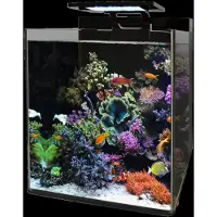 Aquadistri Bm reef 90 aquarium Blue Marine