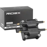 RIDEX 689C0240 Bobine
