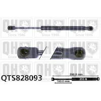 Quinton Hazell QTS828093 Gasveer motorkap