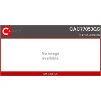 Casco CAC77053GS Aircopomp