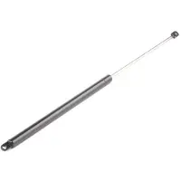 RIDEX 514G0038 Gasveer motorkap