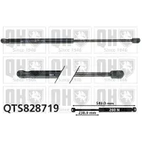Quinton Hazell QTS828719 Gasveer achterklep