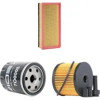 RIDEX 4055F7663 Filterset