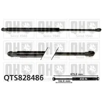 Quinton Hazell QTS828486 Gasveer achterklep