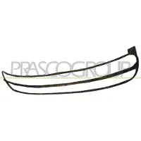 BLIC Ventilatierooster, bumper 6502-07-9514225P