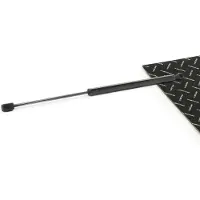 RIDEX 219G1260 Gasveer achterklep