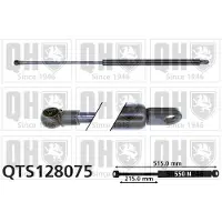 Quinton Hazell QTS128075 Gasveer achterklep
