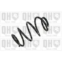 Quinton Hazell QCS8002 Chassisveer