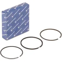KOLBENSCHMIDT 800025010000 Zuigerveerset