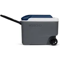 Igloo - Maxcold 40 Roller - Koelbox 36 l, grijs