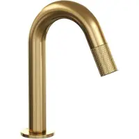 Brauer Opbouw fonteinkraan gold carving edition met gebogen uitloop goud geborsteld pvd