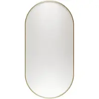 Haceka Spiegel deco ovaal 80x40 cm geborsteld goud