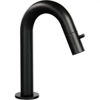 Brauer Opbouw Fonteinkraan Black Edition Met Gebogen Uitloop Mat Zwart