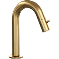 Brauer Opbouw fonteinkraan gold edition met gebogen uitloop goud geborsteld pvd