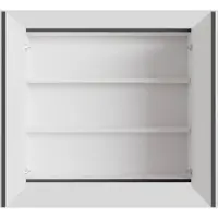 Boss & Wessing Spiegelkast bws cube 80x70x16 cm 2 deuren antraciet met mat wit