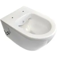 Sanicare Rondo randloos toilet wit glans met bidetsproeier- en kraan