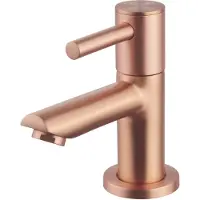 Wiesbaden Caral Amador fonteinkraan Kiwa 1/2'' geborsteld koper
