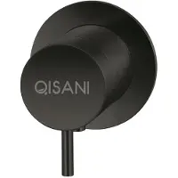 Qisani Inbouwkraan Flow Thermostatisch 1-weg Rond Geborsteld Mat Zwart