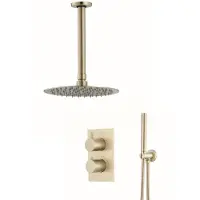 Boss & Wessing Inbouw regendouche set bws gold plafonduitloop en 30 cm hoofddouche mat goud