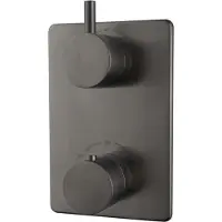 Boss & Wessing Bws afbouwdeel cemal douche thermostaat inbouw 2-weg gunmetal