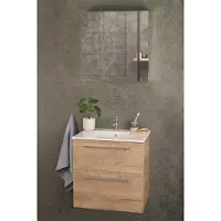 Differnz Spiegelkast Basic 2-Deurs 60 x 61,8 x 15 cm