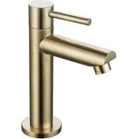 Sanilux Fonteinkraan 15,5 cm goud